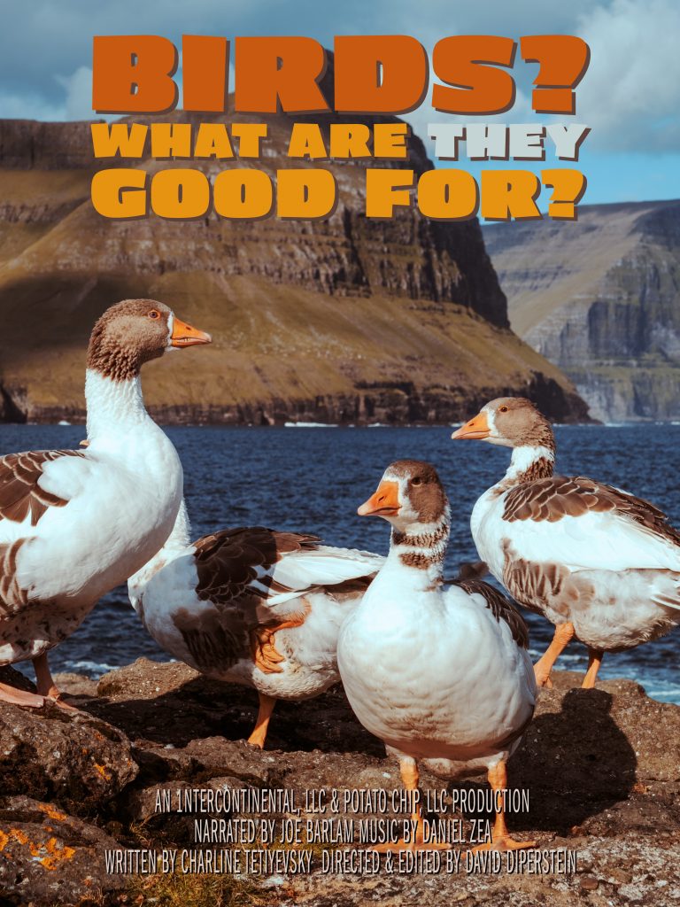Birds? What Are They Good For? Trailer
